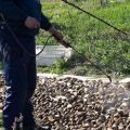 Mittel zur Verarbeitung von Kartoffeln und Verfahrensregeln