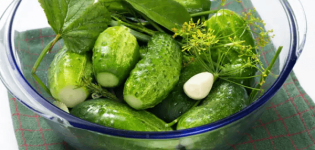 As 8 melhores receitas para fazer pepinos em conserva frios para o inverno