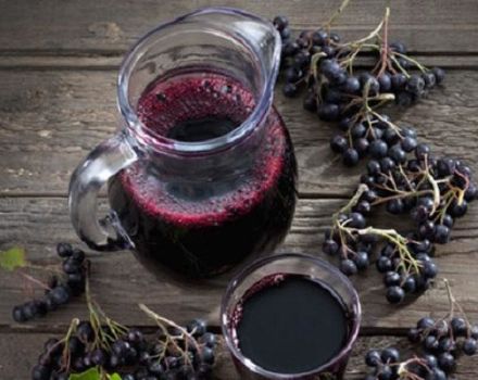 19 einfache Rezepte für die Herstellung von Apfelbeerkompott für den Winter