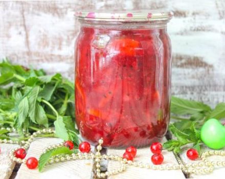 3 einfache Rezepte für rote Johannisbeere und Apfelmarmelade für den Winter
