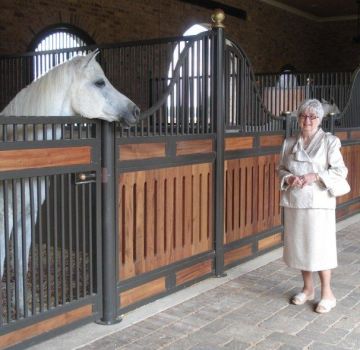 Wie man Ställe für Pferde baut und ausstattet, Maße und Schemata eines Stalls