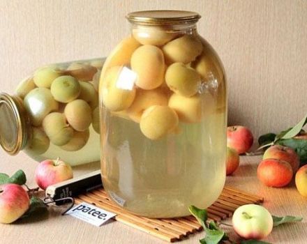 TOP 5 einfache Rezepte für die Herstellung von Kompott aus weißer Füllung für den Winter