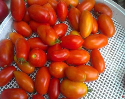 Περιγραφή της ποικιλίας ντομάτας Superbanan και των χαρακτηριστικών της