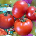 خصائص ووصف صنف Max Tomato ومحصوله