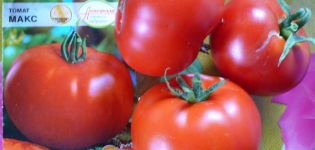 Características e descrição da variedade de tomate Max, seu rendimento