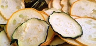 3 legjobb recept szárított cukkini készítésére télen