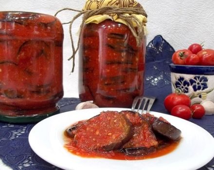 Κορυφαίες 10 καλύτερες συνταγές για υπέροχη μελιτζάνα στο adjika για το χειμώνα με και χωρίς αποστείρωση