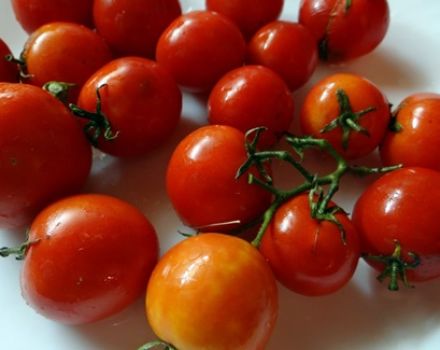 Características e descrição da variedade de tomate Extremo Norte, seu rendimento