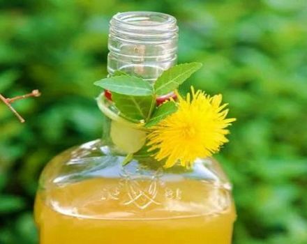 6 best homemade dandelion wine recipes
