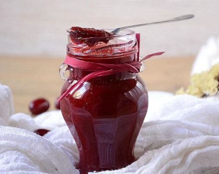 Jednoduchý recept na bezsemenný dřínový džem na zimu