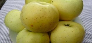 Descrição da variedade e rendimento da maçã-açúcar amarela, história de reprodução e regiões de cultivo