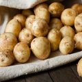Die Vor- und Nachteile junger Kartoffeln, wie man keimt und wann man pflanzt