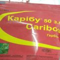تعليمات لاستخدام مبيد الأعشاب Caribou ، آلية العمل ومعدلات الاستهلاك