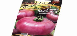 Description of the variety of tomato Padishah and its characteristics
