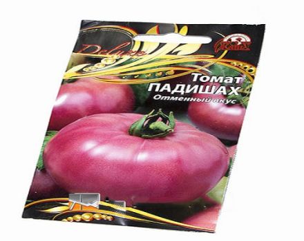 Описание на сорта домат Падиша и неговите характеристики