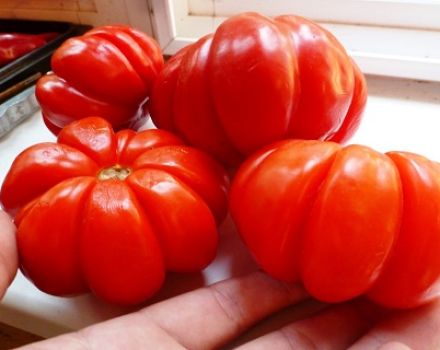 Lorraine grožio pomidorų veislės aprašymas ir savybės