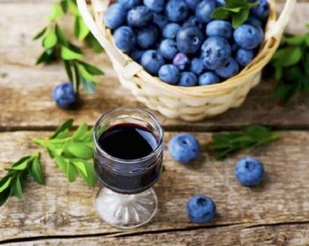 15 besten Blaubeerrezepte für den Winter