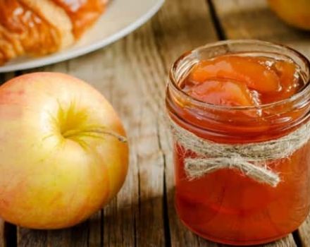 3 principais receitas para fazer geléia de maçã doce para o inverno