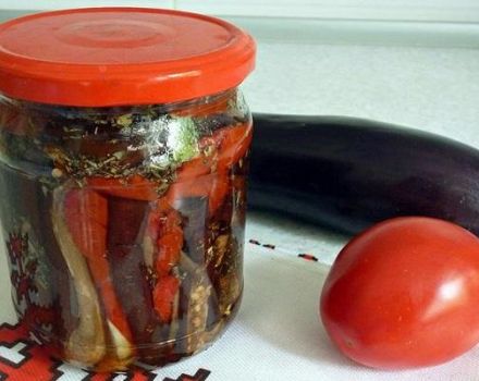 TOP 6 recetas para hacer berenjenas en escabeche con pimiento para el invierno