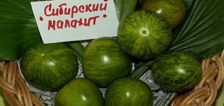 Beschreibung der sibirischen Malachit-Tomatensorte und ihrer Eigenschaften