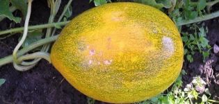 طرق مكافحة أمراض البطيخ وعلاجها ومعالجتها وخطرها على الإنسان
