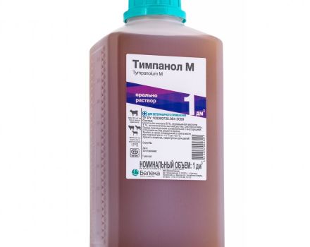 تعليمات لاستخدام Tympanol للحيوانات ، جرعة للأبقار والعجول