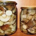 TOP 10-recept för boletus marinerade för vintern på ett varmt och kallt sätt hemma