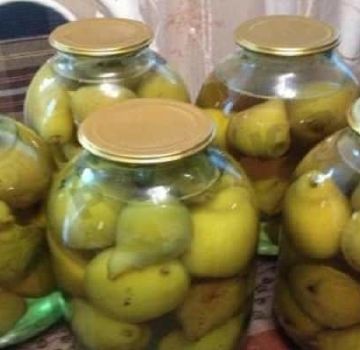 TOP 10-recept för päronkompott med och utan citronsyra för vintern, med och utan sterilisering