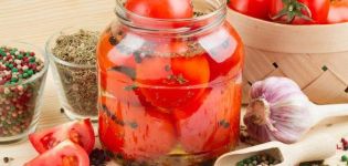 Jednoduchý recept na varenie paradajok s dezertom s cibuľou na zimu
