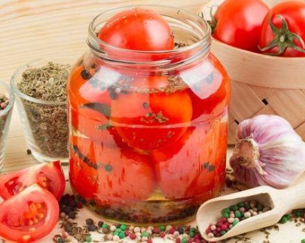 Ein einfaches Rezept zum Kochen von Desserttomaten mit Zwiebeln für den Winter