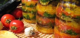 13 ricette passo passo per fare uno spuntino di melanzane per l'inverno