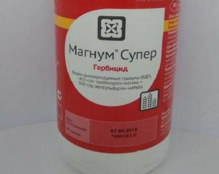 Οδηγίες χρήσης του ζιζανιοκτόνου Magnum, μέτρα ασφαλείας και ανάλογα