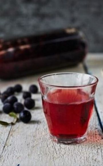 Oito melhores receitas simples para fazer vinho de abrunho em casa