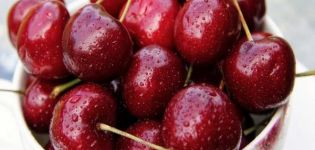 Características e descrição das variedades de cereja Vasilisa, plantio e cuidados
