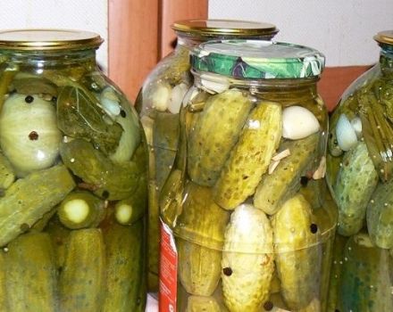 TOP 3 recipes for pickled cucumbers with coriander for the winter