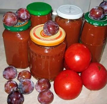 Рецепте за кечап од шљива за зиму код куће лизат ћете прсте
