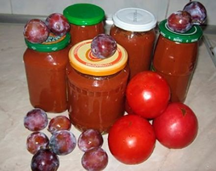 Recept för ketchup från plommon för vintern hemma så slickar du fingrarna