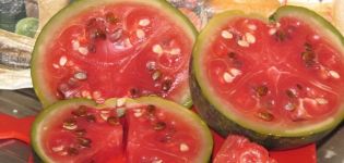 Receita deliciosa da vovó sobre como salgar melancias em um barril para o inverno