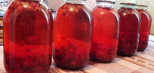 TOP 10 simple recipes for making red bird cherry compote