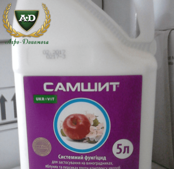 Састав и упутства за употребу фунгицида Боквоод, дозирање и аналози