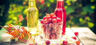 5 best gooseberry juice recipes in a juicer for the winter