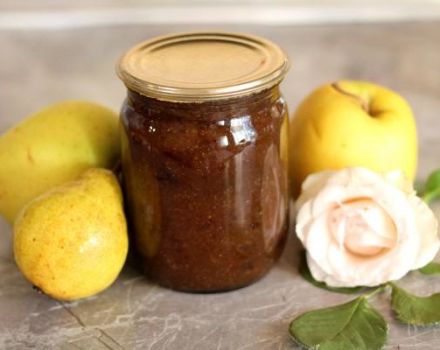 TOP 6 enkla recept för att tillverka äpple- och päronsylt till vintern