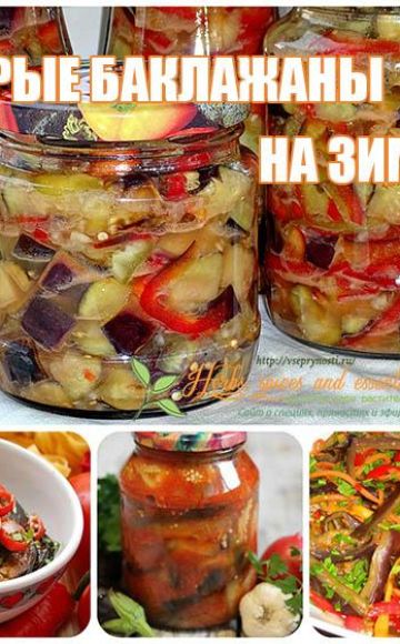 5 melhores receitas para cozinhar berinjela picante para o inverno e armazenamento