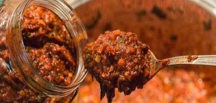 10 best recipes for making Caucasian adjika for the winter