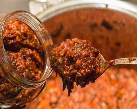 10 καλύτερες συνταγές για να φτιάξετε καυκάσιος adjika για το χειμώνα