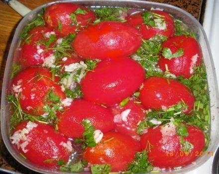 5 най-добри незабавни рецепти за домати, мариновани с чесън
