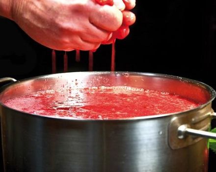 8 jednoduchých receptů domácího jahodového vína krok za krokem