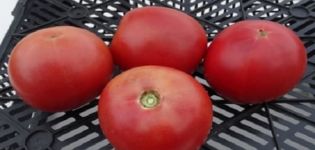 Descrição da variedade de tomate Alesi e suas características
