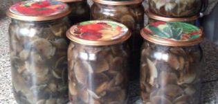 As 10 melhores receitas para marinar cogumelos de celeiro em casa durante o inverno