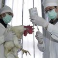 Περιγραφή ασθενειών και αιτιών, συμπτωμάτων και μεθόδων θεραπείας